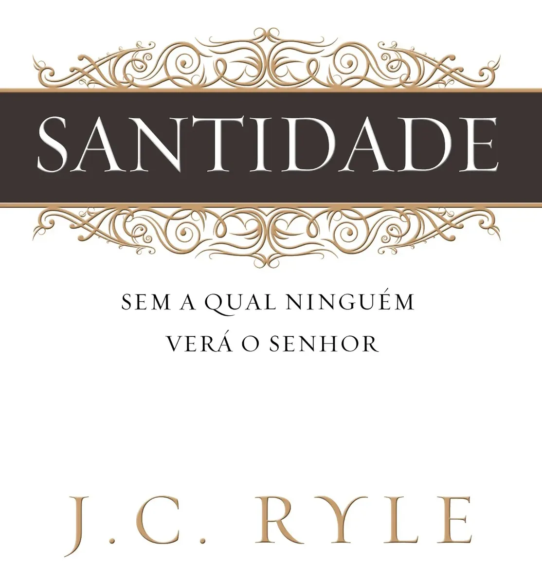 Capa de Santidade